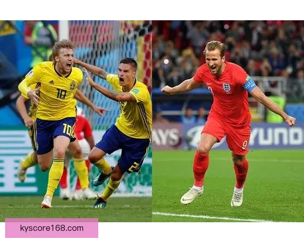 开云体育投注全面解析及最新活动攻略详解